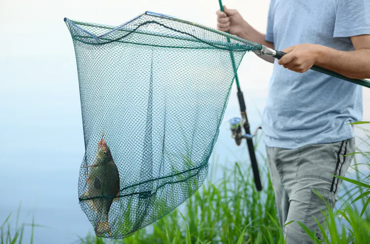 22年10月版 玉網の選び方と人気おすすめ10選 使い方 種類 価格帯 Kencoco ケンココ 22年10月版 玉網の選び方と人気おすすめ10選 使い方 種類 価格帯 Kencoco ケンココ