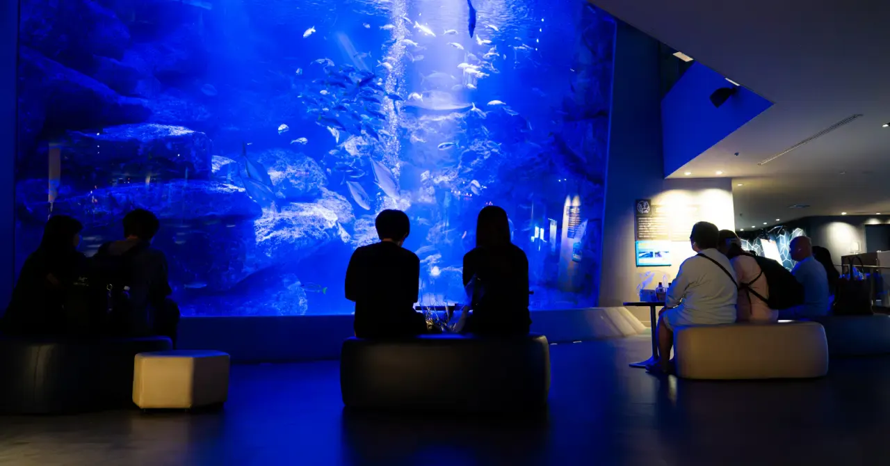 Deep Sea Recovery in すみだ水族館のイベント画像
