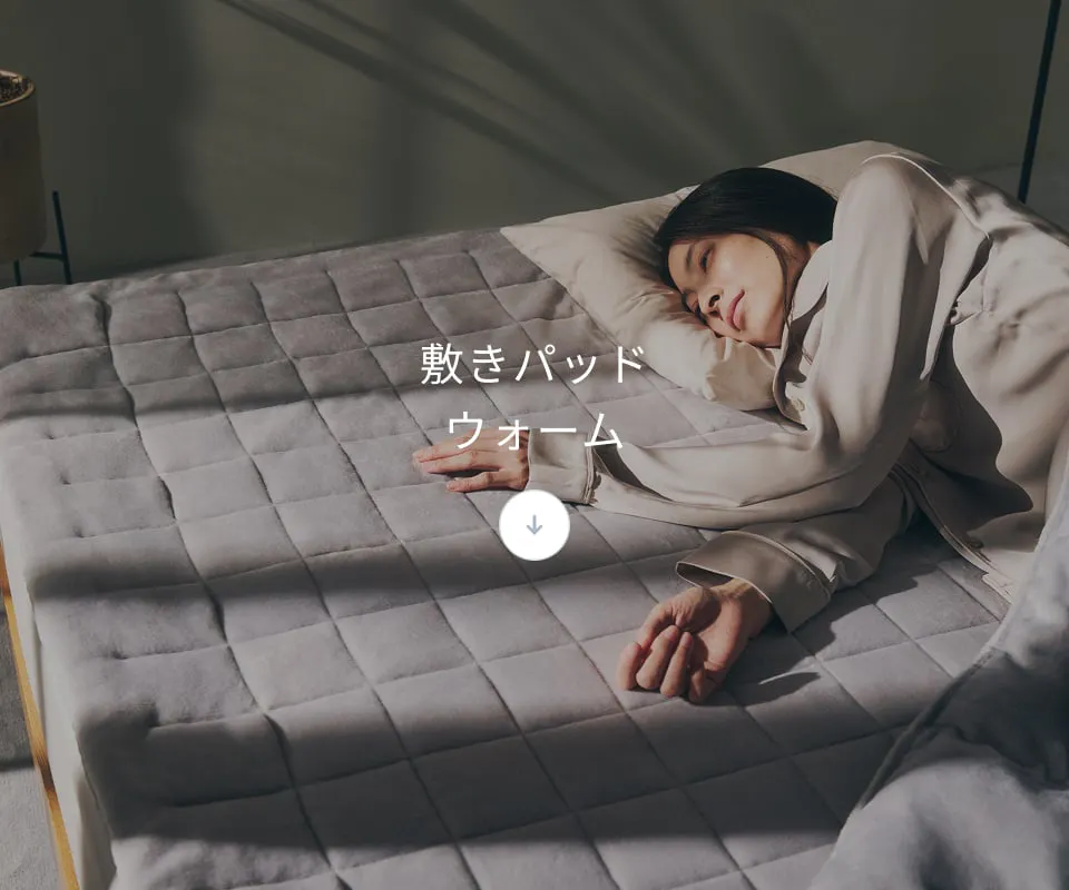 冬用寝具3点セット / 冬用掛け布団・冬用敷きパッド・冬用枕パッド2枚