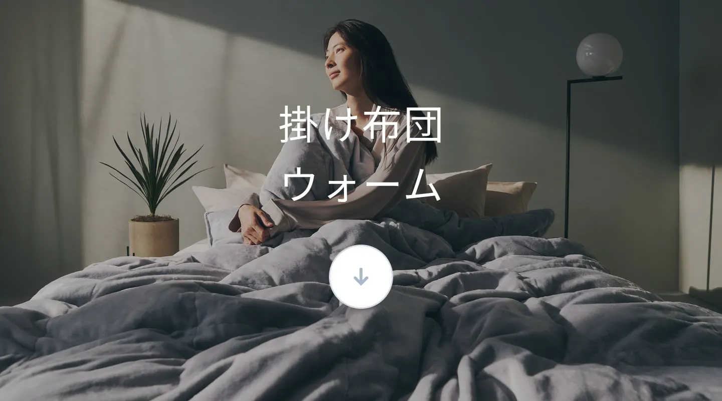 冬用寝具3点セット / 冬用掛け布団・冬用敷きパッド・冬用枕パッド2枚