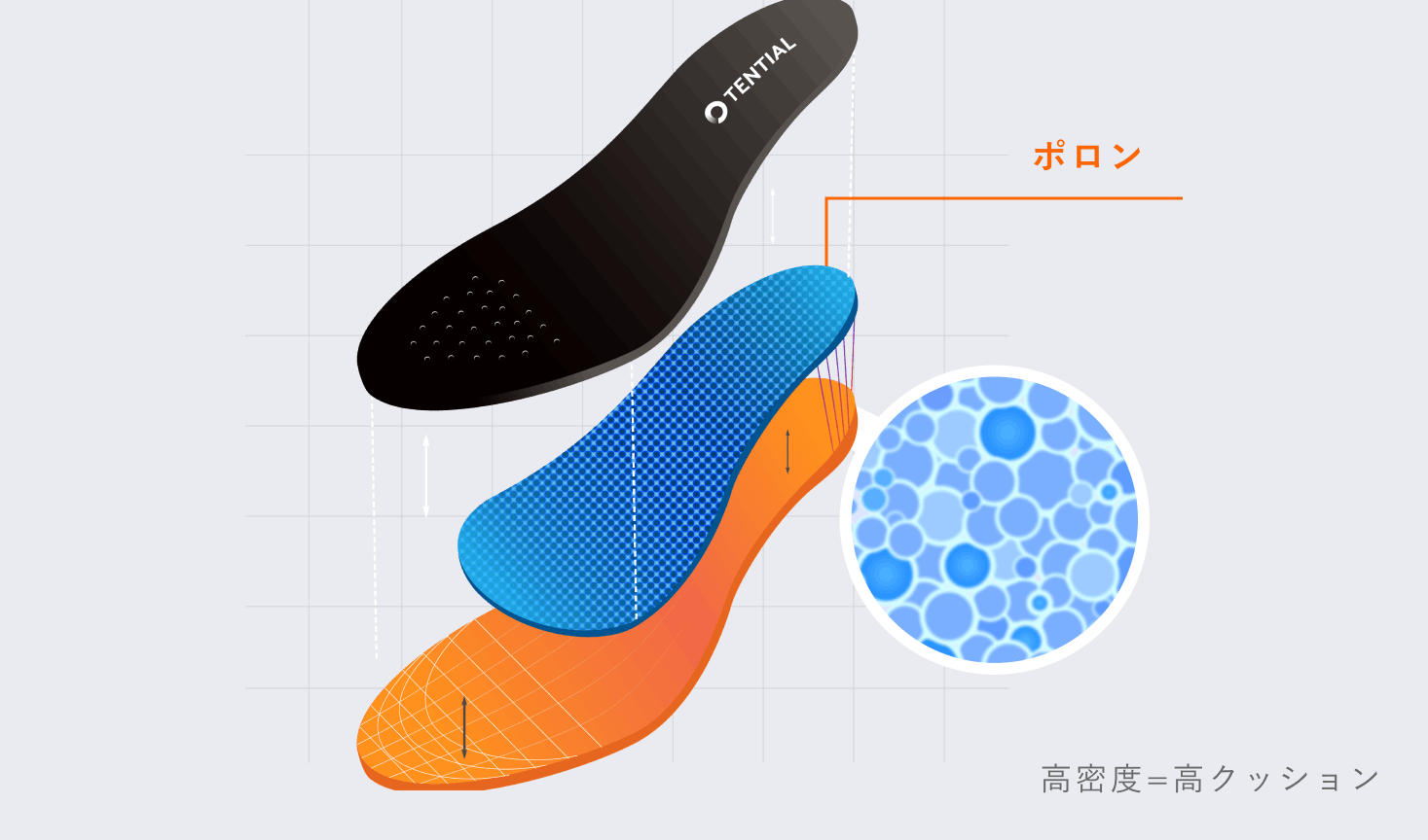 テンシャルインソール | TENTIAL[テンシャル] 公式オンラインストア