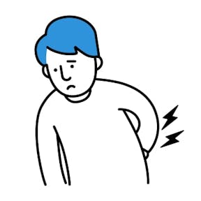 腰回り