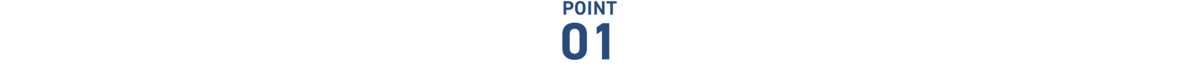 POINT 01