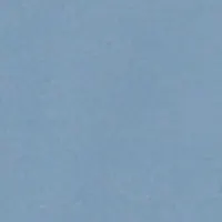 サックスブルー (カビゴン) 