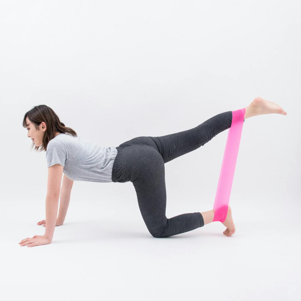 エルガム トレーニングループ 下半身 Kencoco ケンココ エルガム トレーニングループ 下半身 Kencoco ケンココ