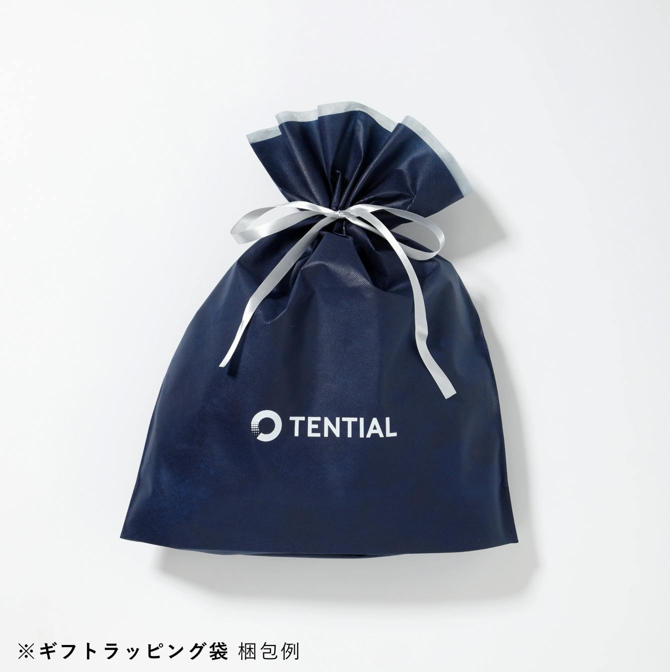 開店記念セール!】 テンシャル Hybrid NAGIE×TENTIAL Setup