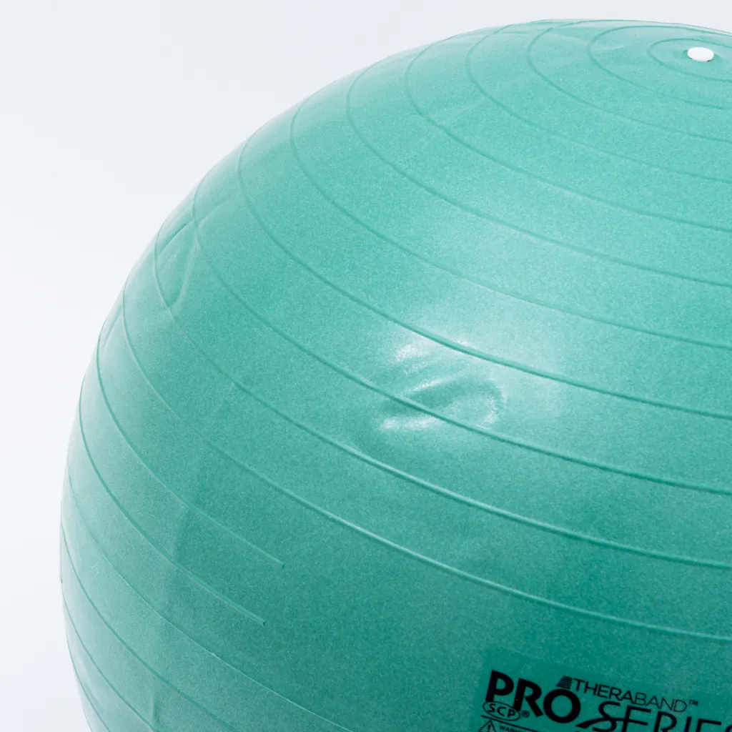 D M Sds 65 Theraband セラバンド エクササイズボール Kencoco ケンココ D M Sds 65 Theraband セラバンド エクササイズボール Kencoco ケンココ